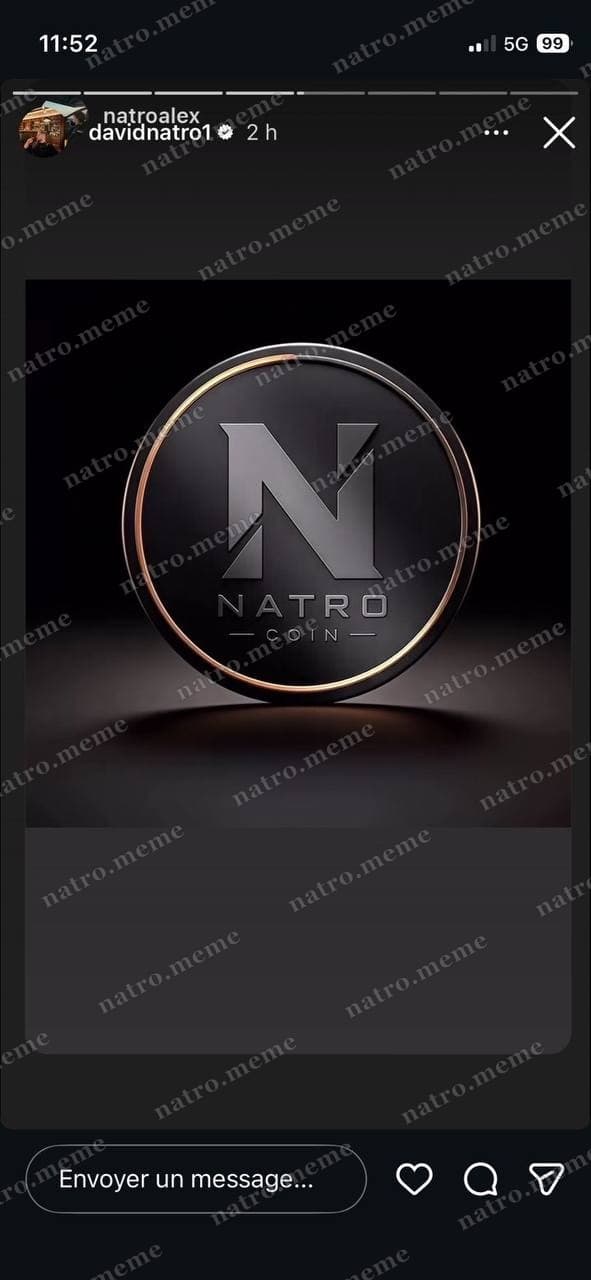 NATRO COIN render — reshared by @davidnatro1 and @natroalex — Instagram Story · both verified accounts · pre-launch